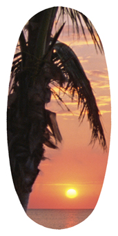 DASOV 127 (Sunset) Footprints